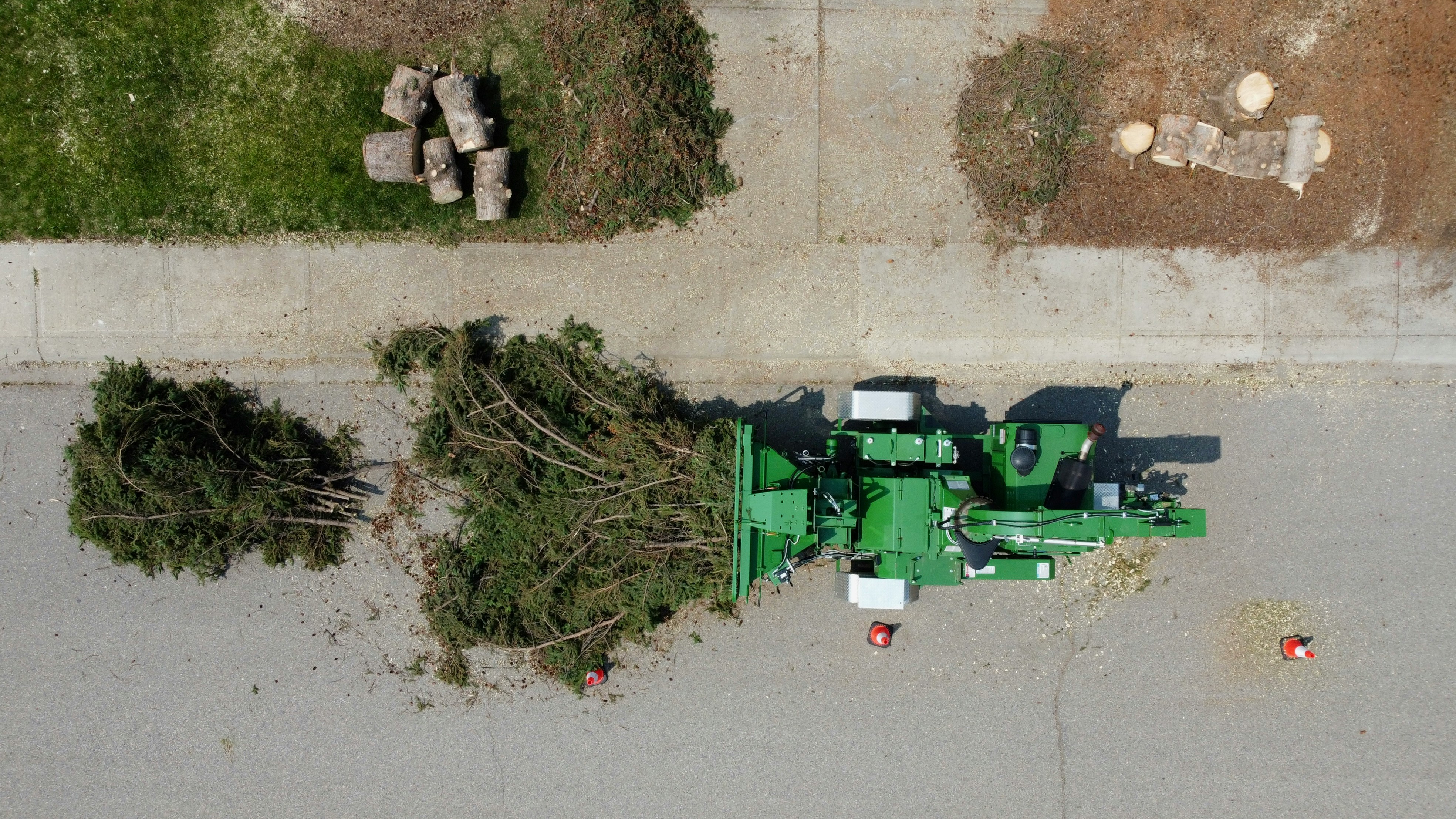 Emergency Tree Services